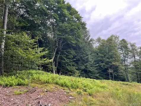 34 Black Bear Crossing Claryville NY 12725