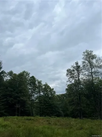 34 Black Bear Crossing Claryville NY 12725
