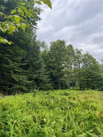 34 Black Bear Crossing Claryville NY 12725