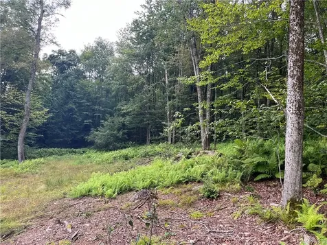 34 Black Bear Crossing Claryville NY 12725
