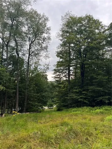 34 Black Bear Crossing Claryville NY 12725