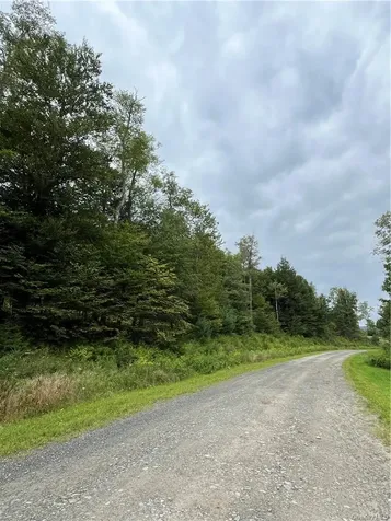 34 Black Bear Crossing Claryville NY 12725