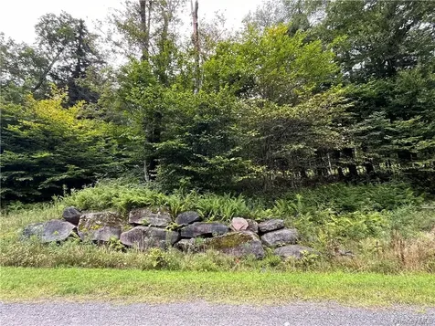 34 Black Bear Crossing Claryville NY 12725