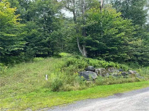 34 Black Bear Crossing Claryville NY 12725