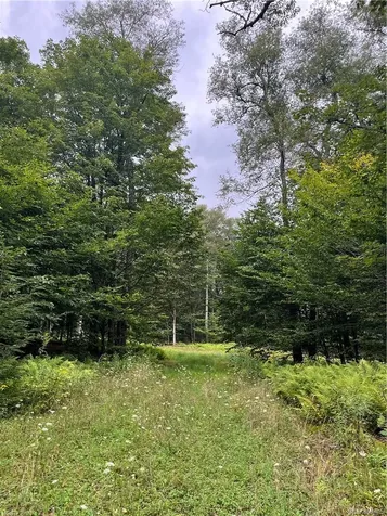 34 Black Bear Crossing Claryville NY 12725