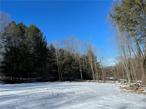 34 Black Bear Crossing Claryville NY 12725