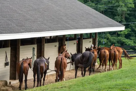 20 Smithfield Way Amenia NY 12501