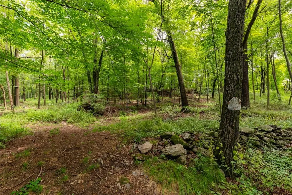 Arthursburg Road Lagrangeville NY 12540