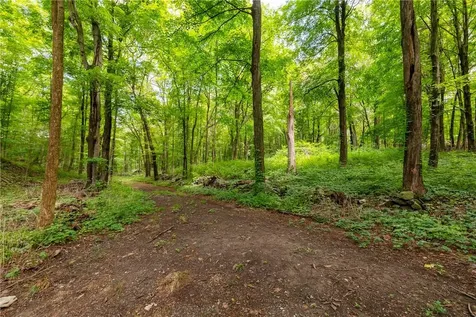 Arthursburg Road Lagrangeville NY 12540