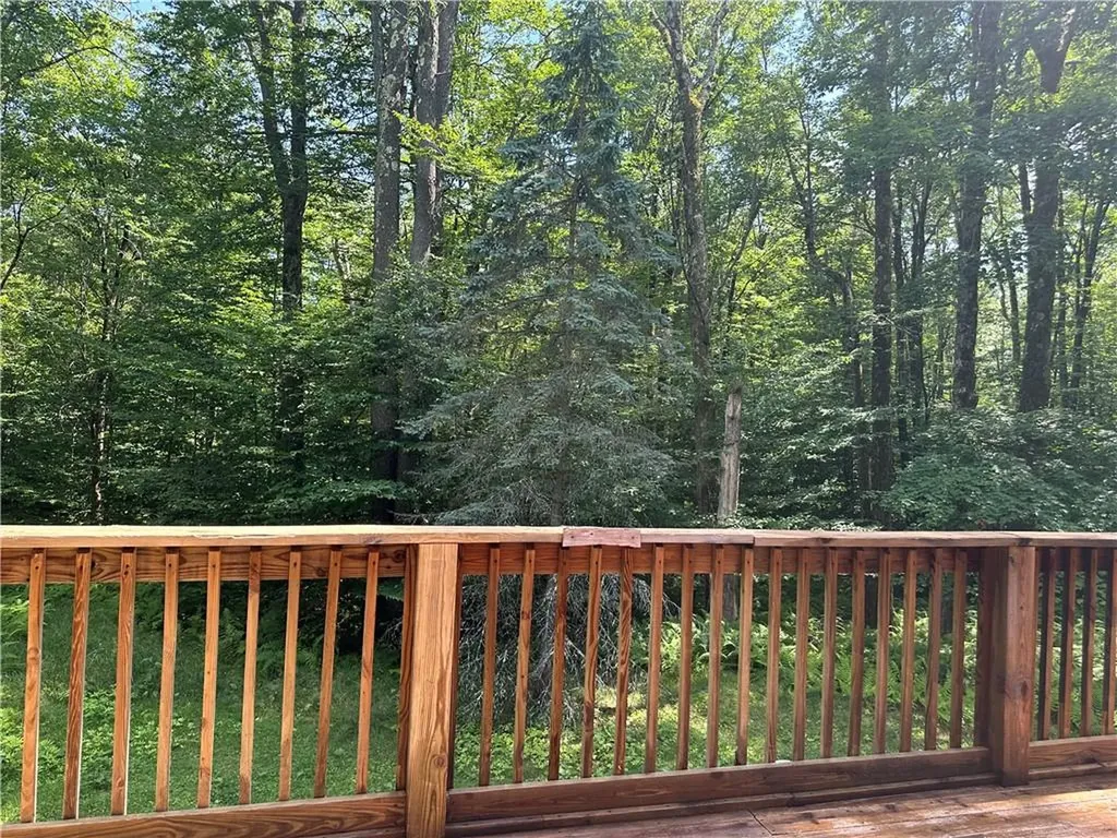 45 Hunter Lane Parksville NY 12768