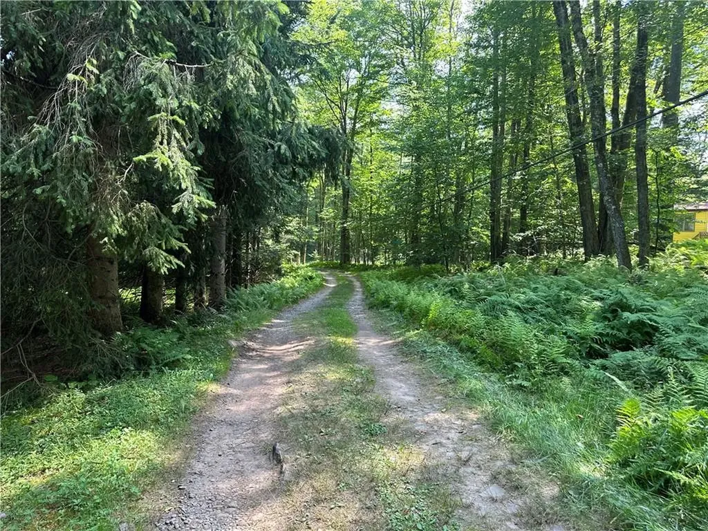45 Hunter Lane Parksville NY 12768