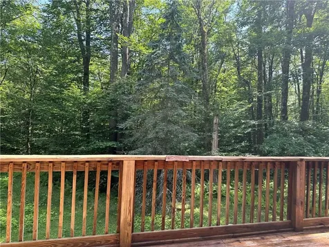45 Hunter Lane Parksville NY 12768