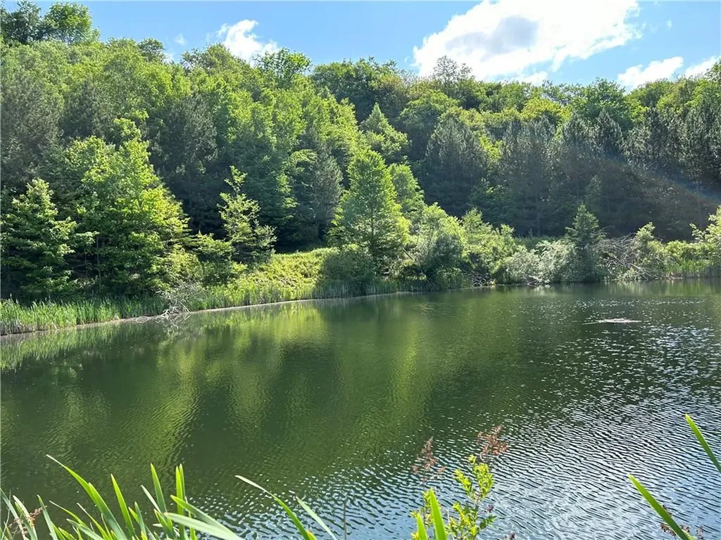 1968 Morton Hill Road Roscoe NY 12776