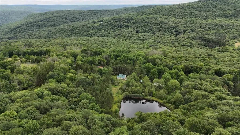 1968 Morton Hill Road Roscoe NY 12776