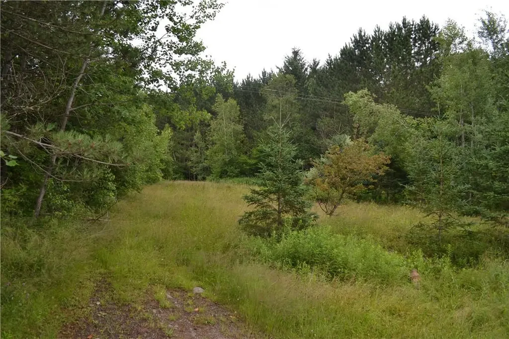 1968 Morton Hill Road Roscoe NY 12776