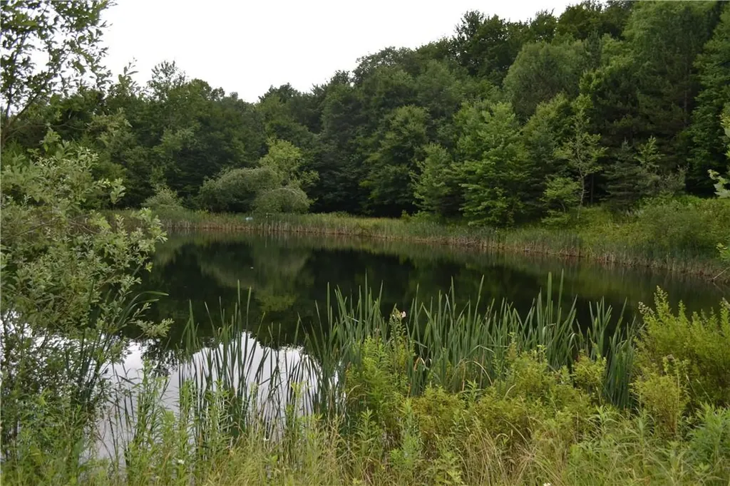 1968 Morton Hill Road Roscoe NY 12776