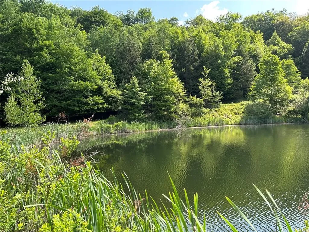 1968 Morton Hill Road Roscoe NY 12776