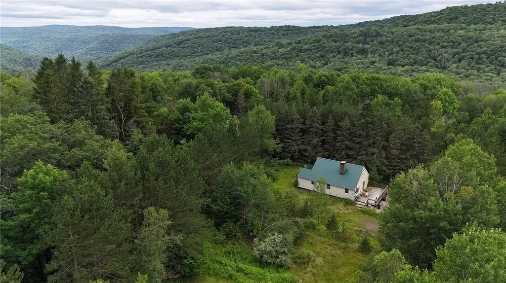 1968 Morton Hill Road Roscoe NY 12776