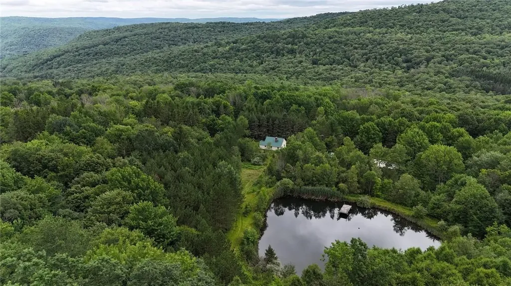1968 Morton Hill Road Roscoe NY 12776
