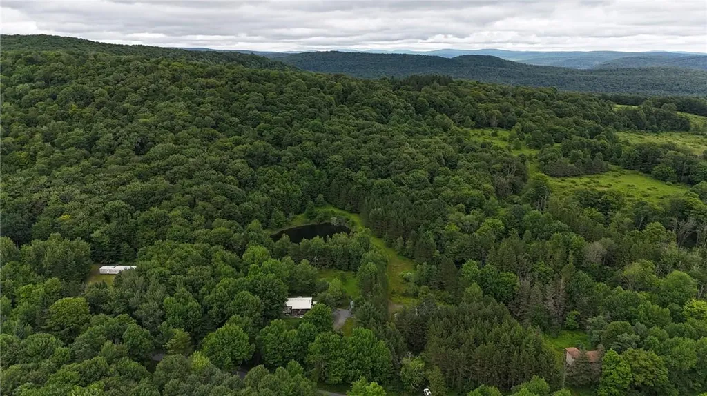 1968 Morton Hill Road Roscoe NY 12776