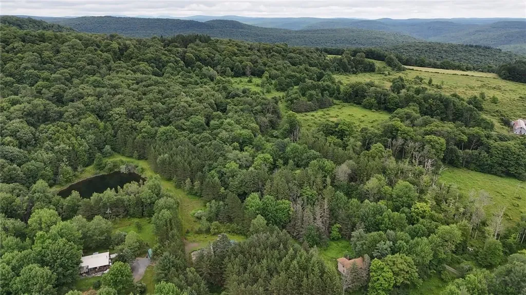 1968 Morton Hill Road Roscoe NY 12776
