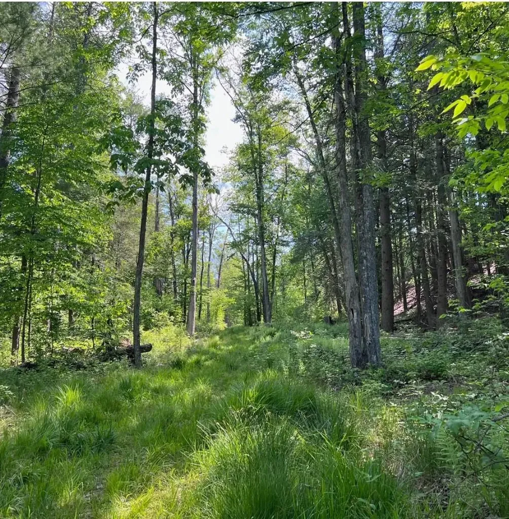380 Gables Road Narrowsburg NY 12764