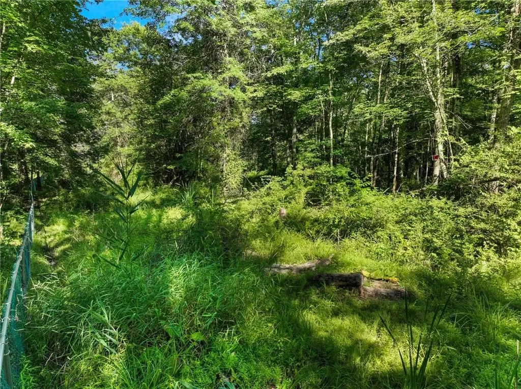 1 Badi Drive Nyack NY 10960
