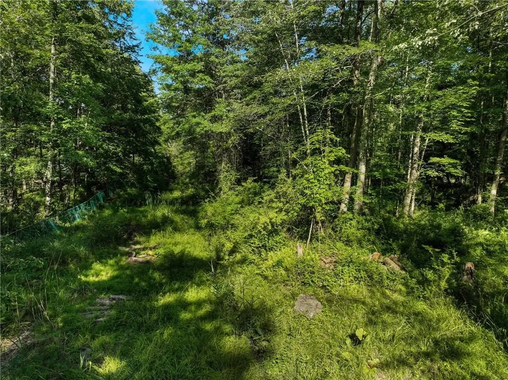 1 Badi Drive Nyack NY 10960