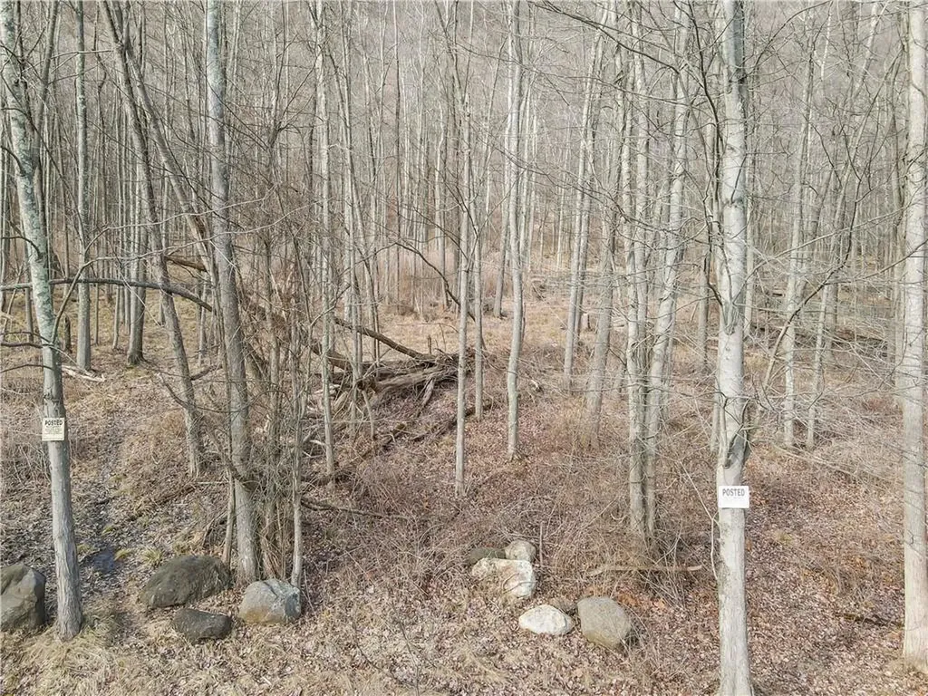 1 Badi Drive Nyack NY 10960
