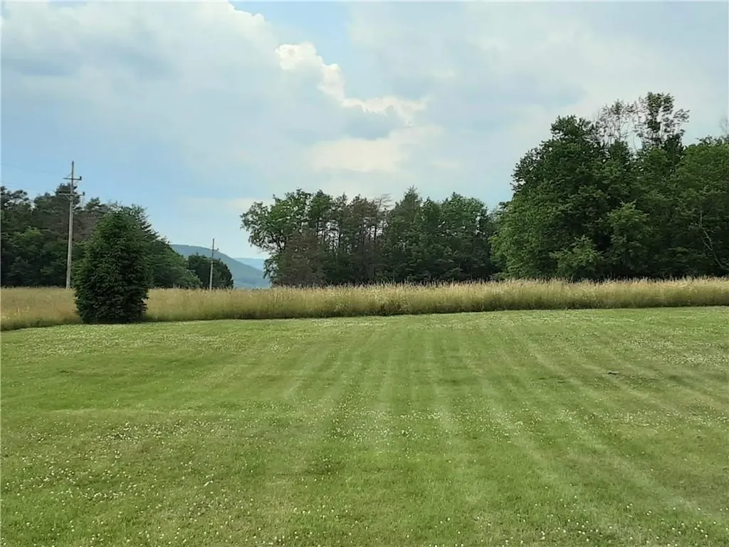 41 Mount Morris Road Liberty NY 12754