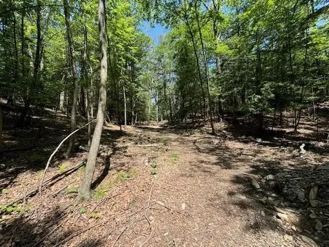 Stissing Mountain Road Pine Plains NY 12567