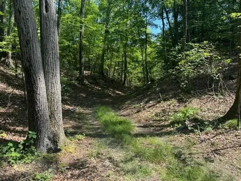 Stissing Mountain Road Pine Plains NY 12567