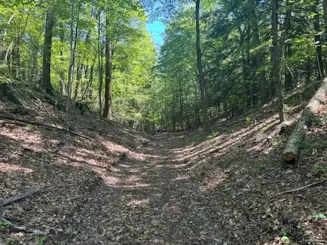 Stissing Mountain Road Pine Plains NY 12567
