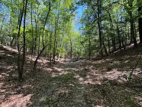 Stissing Mountain Road Pine Plains NY 12567