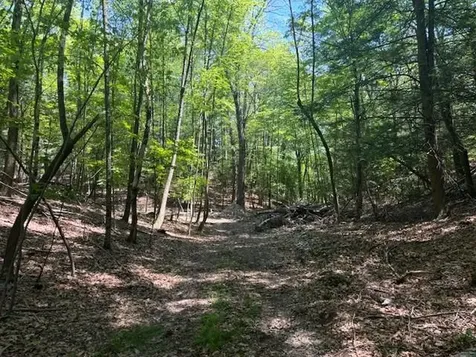 Stissing Mountain Road Pine Plains NY 12567