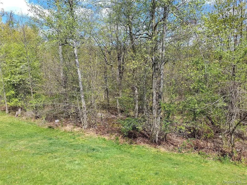 9 Aron Court Spring Valley NY 10977