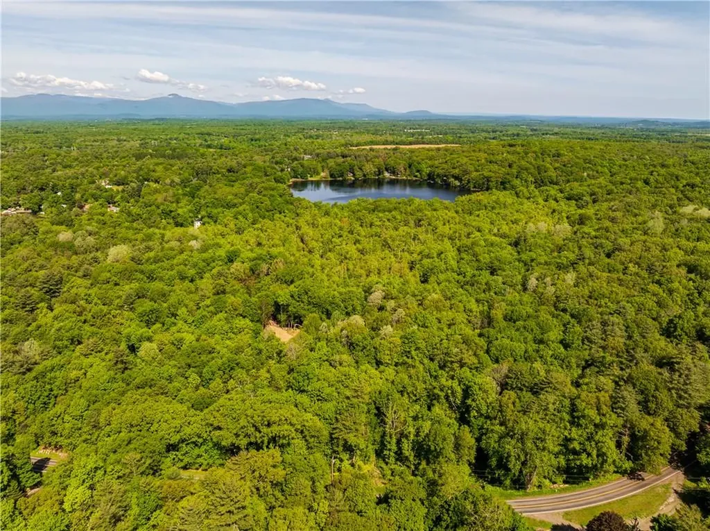 15 Snyderville Elizaville NY 12523