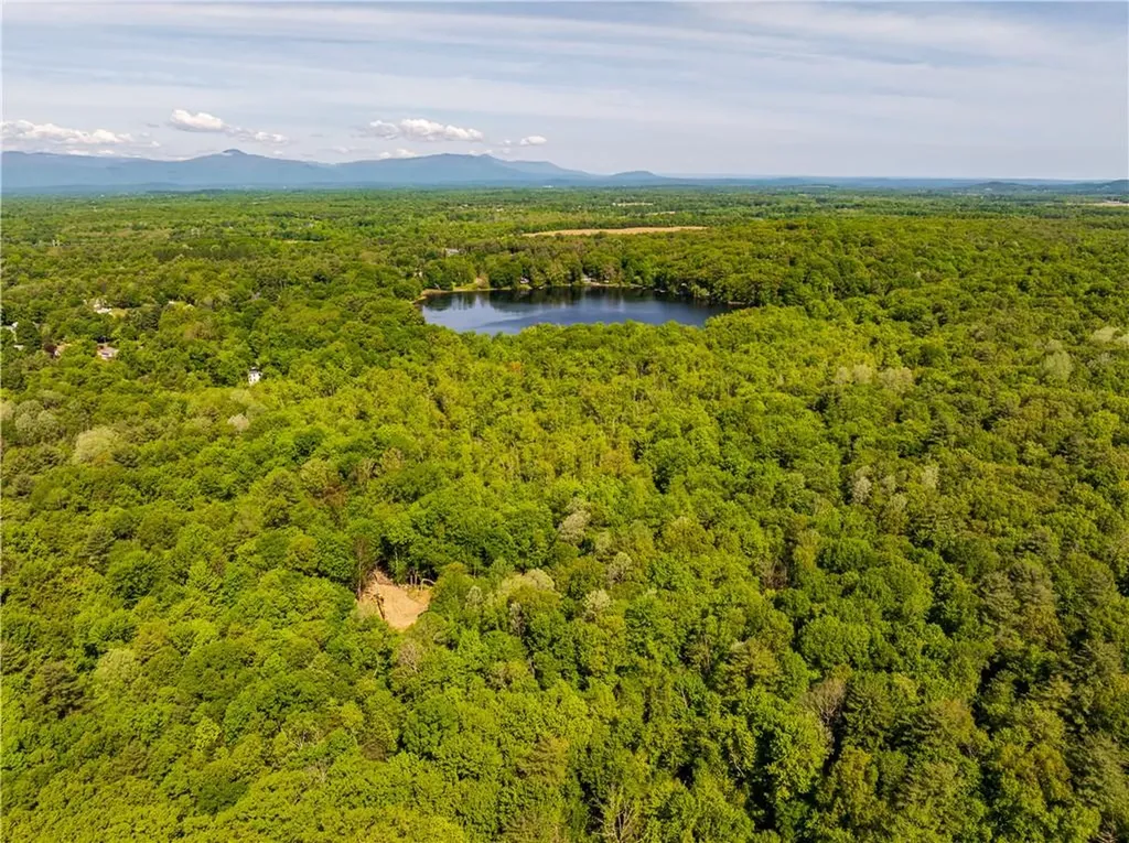 15 Snyderville Elizaville NY 12523