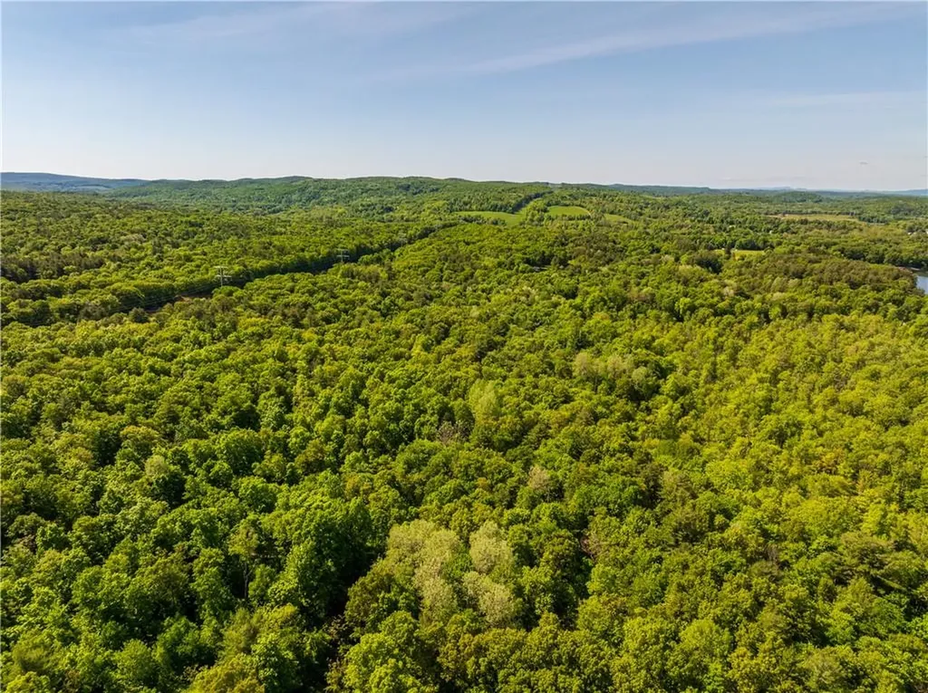 15 Snyderville Elizaville NY 12523