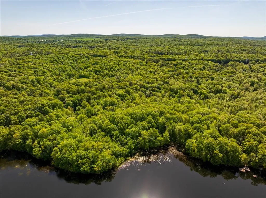 15 Snyderville Elizaville NY 12523