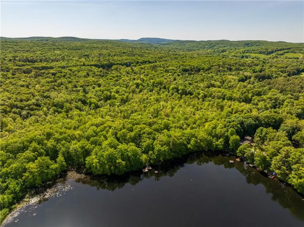 15 Snyderville Elizaville NY 12523