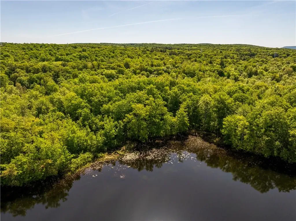15 Snyderville Elizaville NY 12523