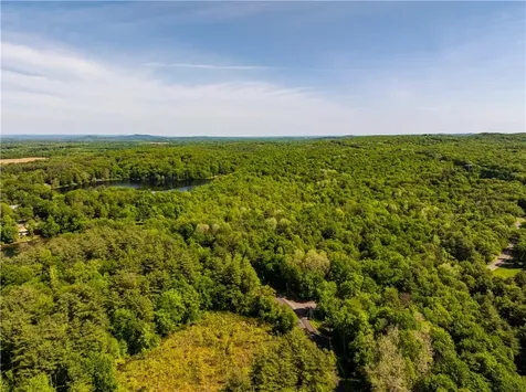 15 Snyderville Elizaville NY 12523
