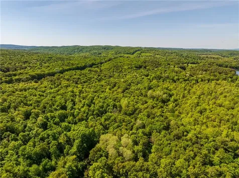 15 Snyderville Elizaville NY 12523