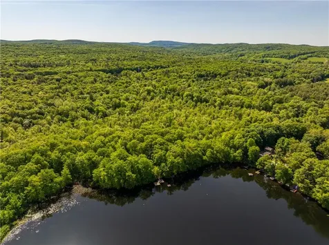 15 Snyderville Elizaville NY 12523