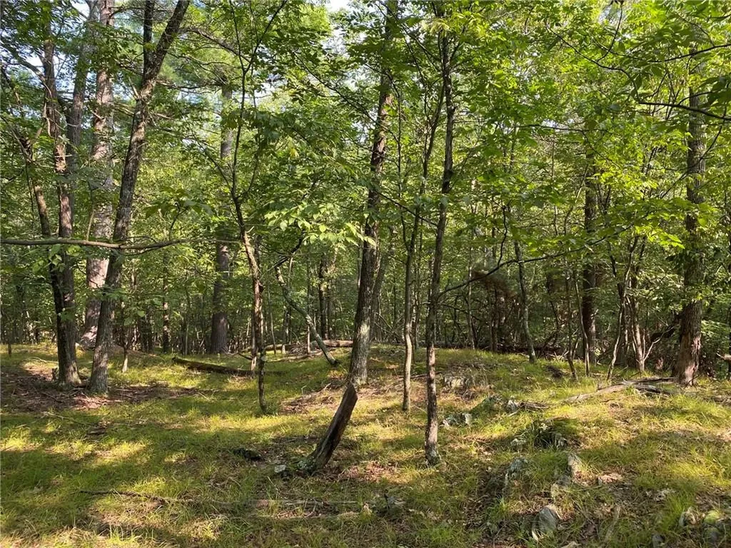 40 Lakeside Drive Rhinebeck NY 12572