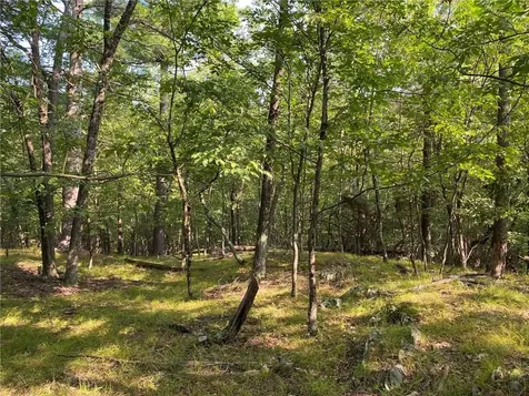 40 Lakeside Drive Rhinebeck NY 12572