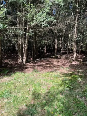 000 Cooper Drive Road Kauneonga Lake NY 12783
