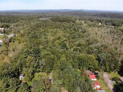 000 Cooper Drive Road Kauneonga Lake NY 12783