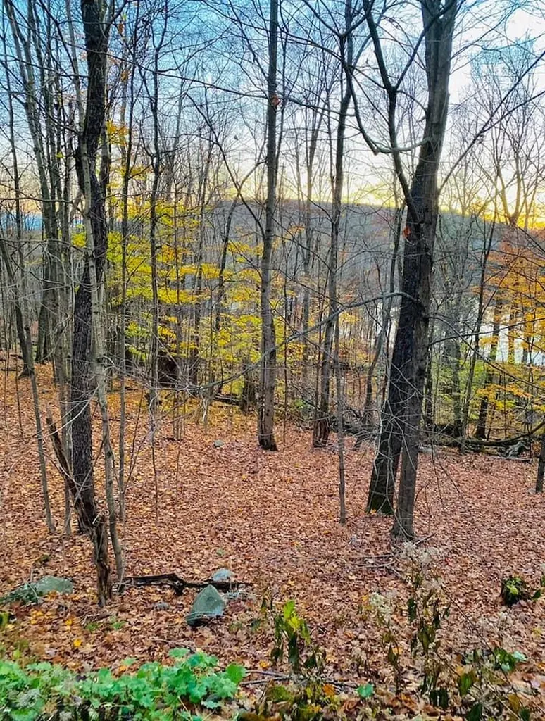 30 Devany Road Ferndale NY 12734